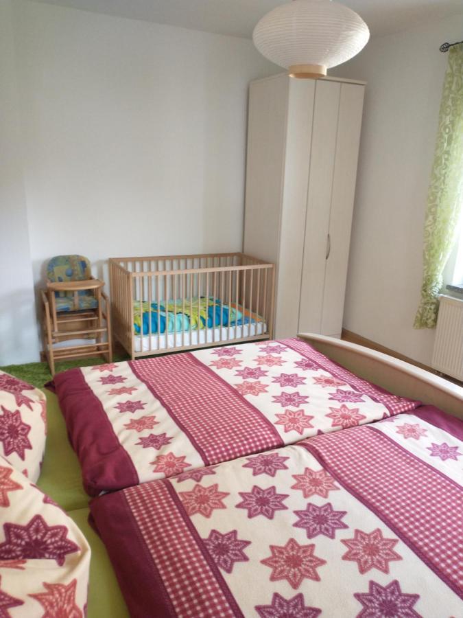 Ferienwohnung Im Erzgebirge In Gelenau Екстериор снимка